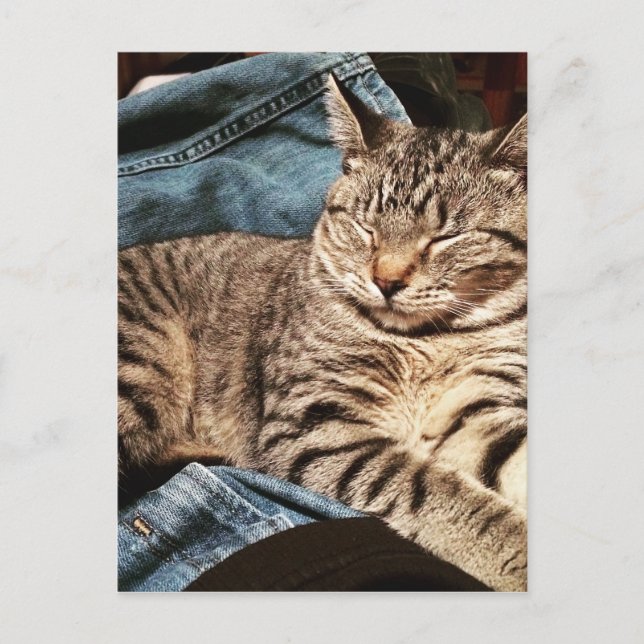 IMG_3960.JPG VYKORT (Framsida)