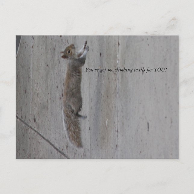 IMG_3995, Du får mig att klättra väggar för DIN sk Vykort (Framsida)