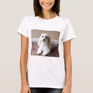 IMG_4050 T SHIRT