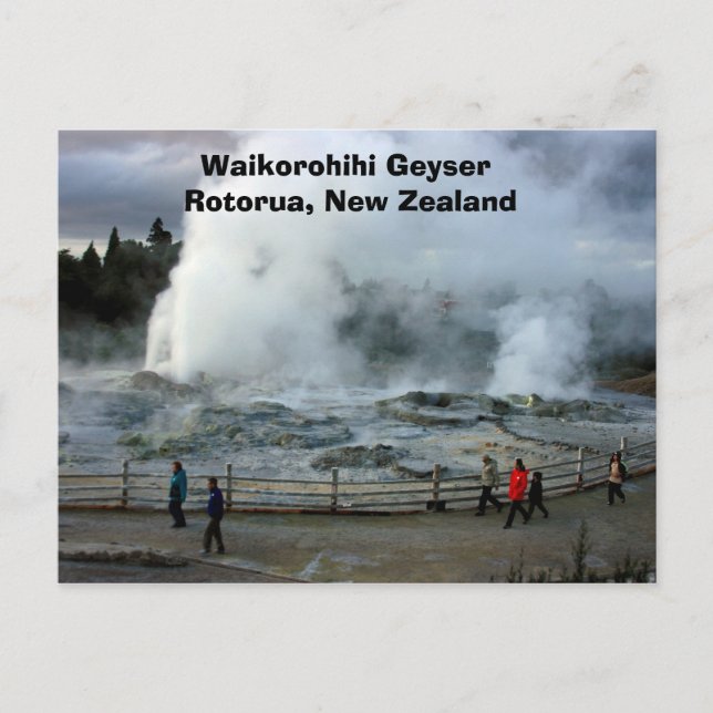 IMG_4274, Waikorohihi Geyser Rotorua, Nya Zeeland Vykort (Framsida)