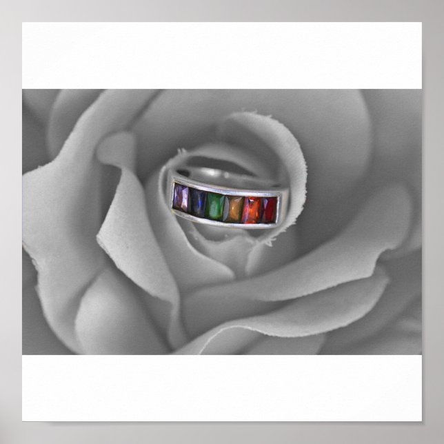 IMG_4572a Poster (Framsidan)