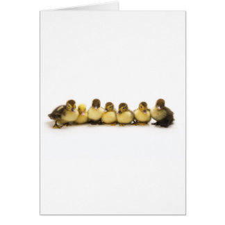 IMG_4992 HÄLSNINGSKORT