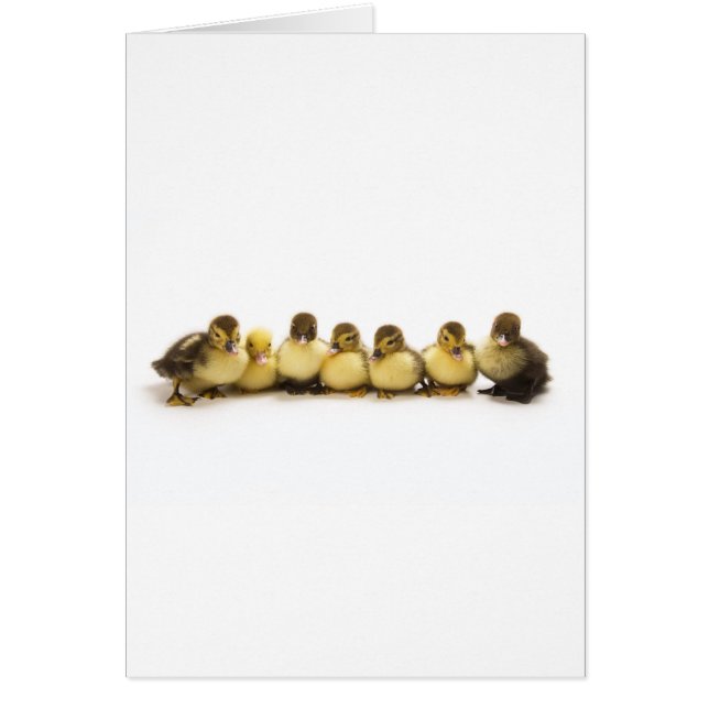 IMG_4992 HÄLSNINGSKORT (Framsidan)