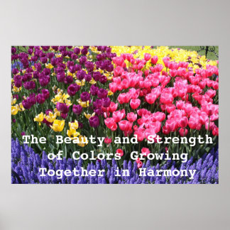 IMG_5044, Färg Gro.. Poster