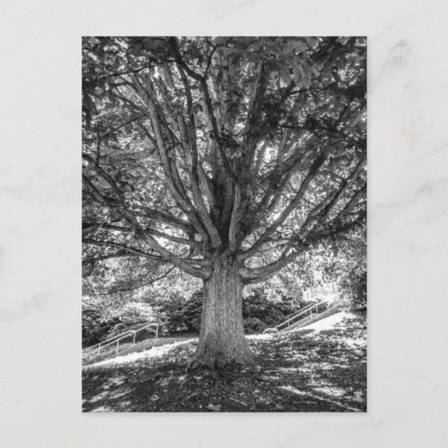 IMG_5219.JPG VYKORT (Framsida)