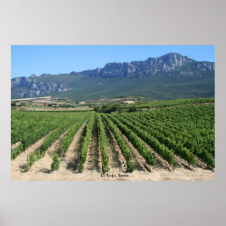 IMG_6159, La Rioja, Spanien Poster