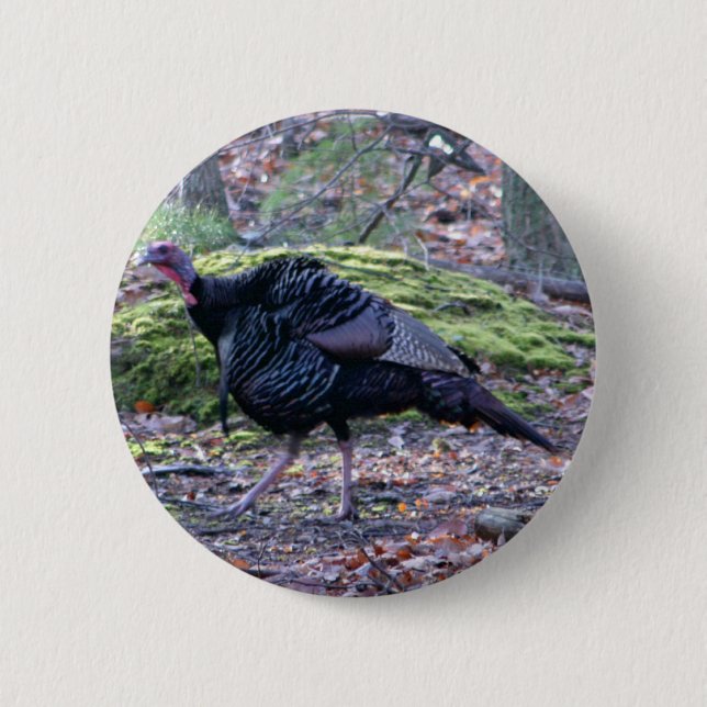 IMG_6278_edited Knapp (Framsida)