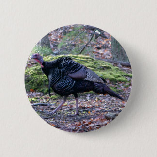 IMG_6278_edited Knapp