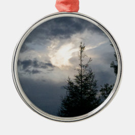 IMG_6587.JPG JULGRANSPRYDNAD METALL