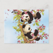 IMG_7386.PNG söt och färglös panda designad