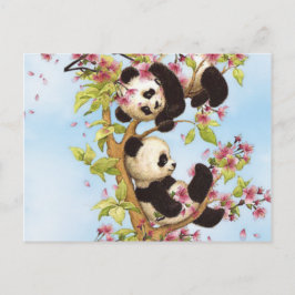 IMG_7386.PNG söt och färglös panda designad Vykort
