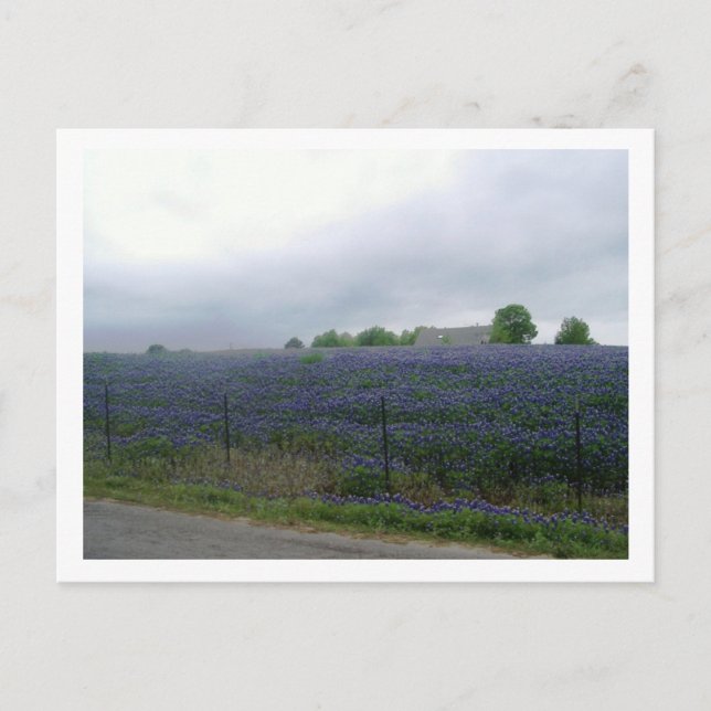 IMGP4303 VYKORT (Framsida)