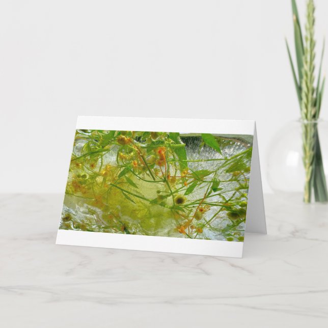 Imiderade Blommar Kort (Framsida)