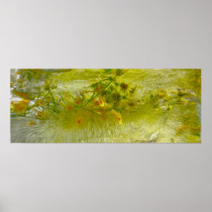Imiderade Blommar Poster