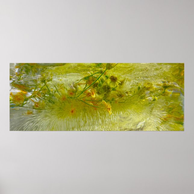 Imiderade Blommar Poster (Framsidan)