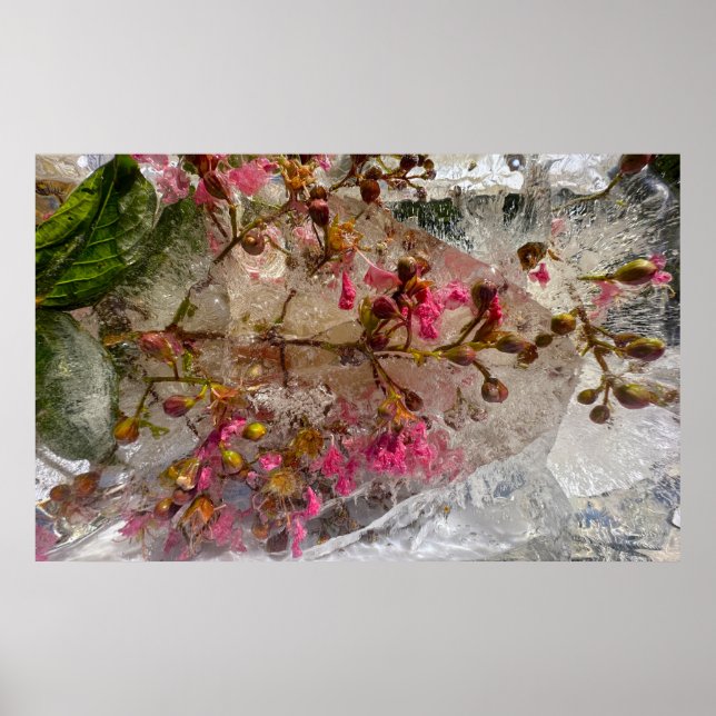 Imiderade Blommar Poster (Framsidan)