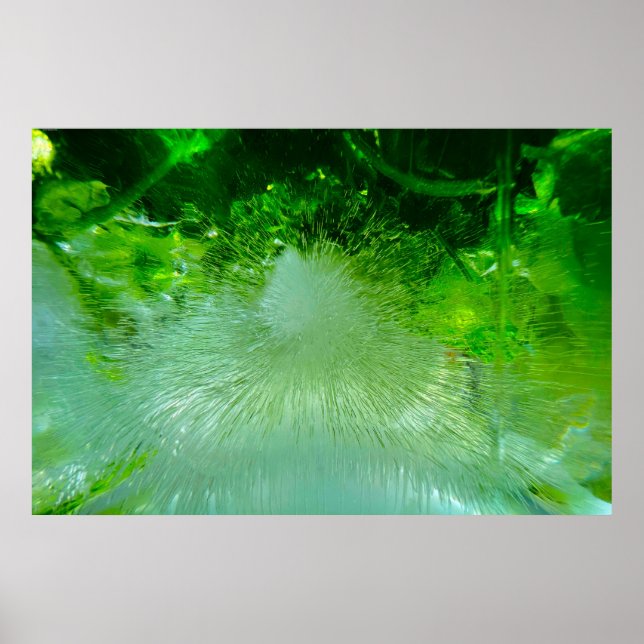 Imiderade Blommar, Poster (Framsidan)