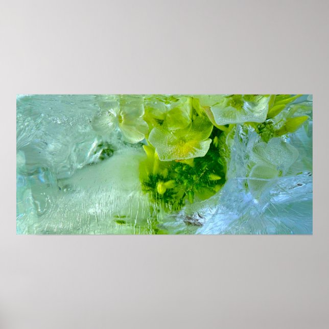 Imiderade Blommar Poster (Framsidan)