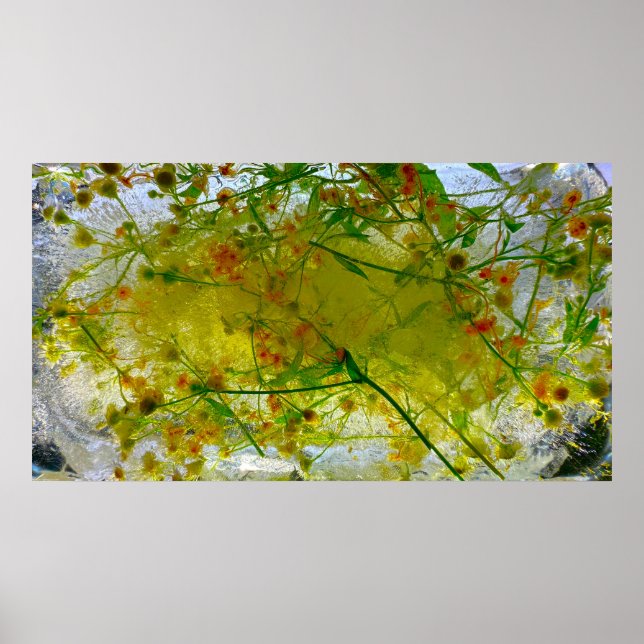 Imiderade Blommar Poster (Framsidan)