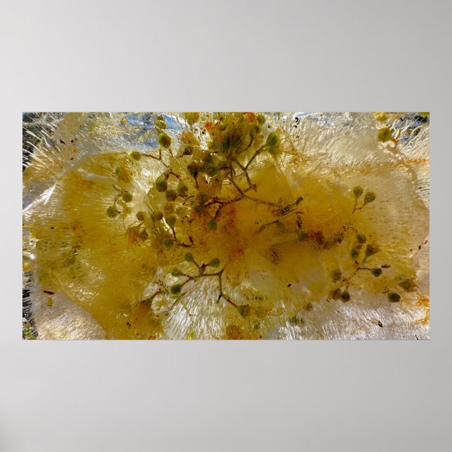 Imiderade Blommar Poster (Framsidan)