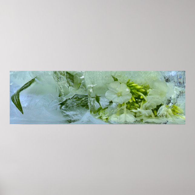 Imiderade Blommar Poster (Framsidan)