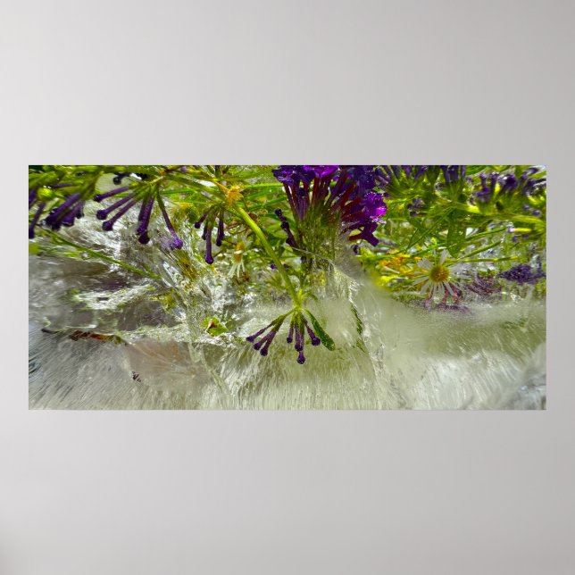 Imiderade Blommar Poster (Framsidan)