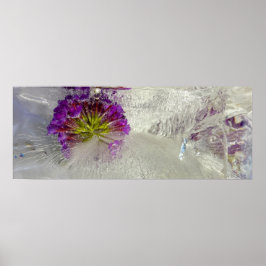 Imiderade Blommar Poster