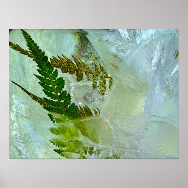 Imiderade Blommar Poster (Framsidan)