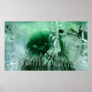 Imiderade Blommar Poster