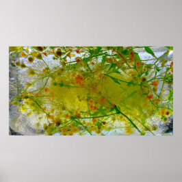 Imiderade Blommar Poster