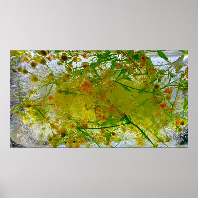 Imiderade Blommar Poster (Framsidan)