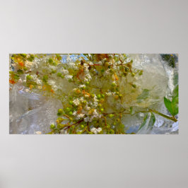 Imiderade Blommar Poster