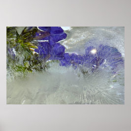 Imiderade Blommar Poster