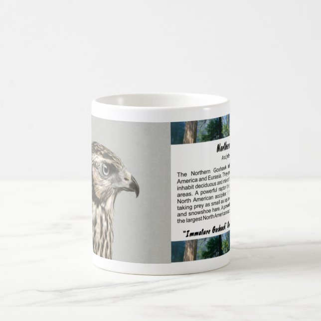 Immatur Goshawk Kaffemugg (Center)