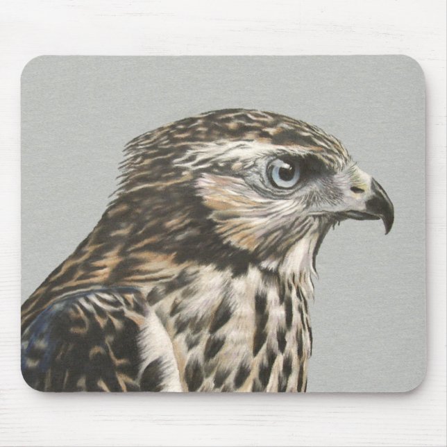 Immatur Goshawk Musmatta (Framsidan)