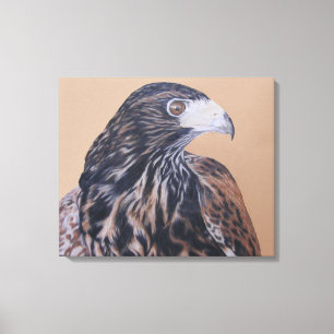 Immatur Harris Hawk Canvastryck