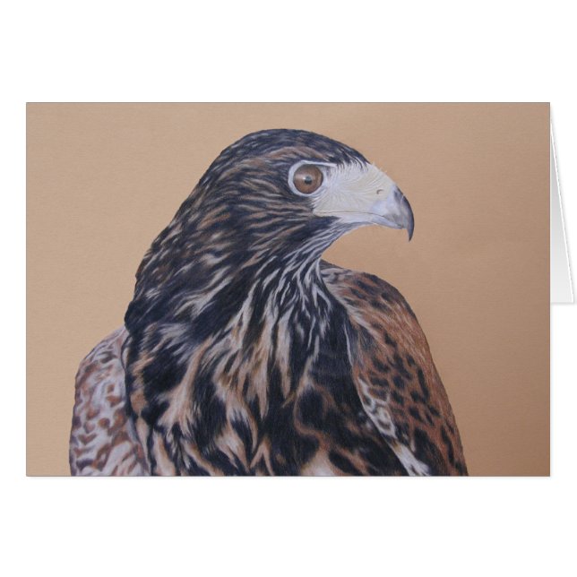 Immatur Harris Hawk Hälsningskort (Framsidan Horizontal)
