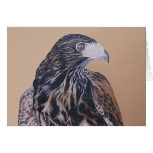 Immatur Harris Hawk Hälsningskort
