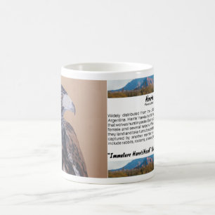 Immatur Harris Hawk Kaffemugg
