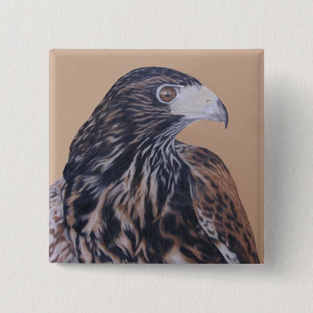 Immatur Harris Hawk Knapp (Framsida)