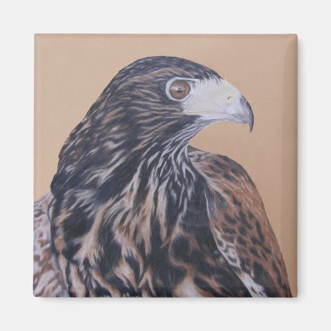 Immatur Harris Hawk Magnet (Framsidan)