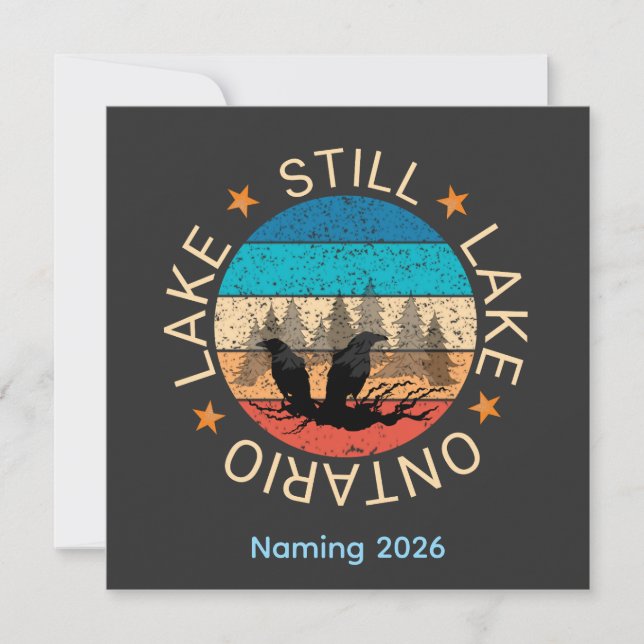 Immer noch Ontariosee Kanada 2026 vintage mix (Framsida)