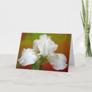 "Immortalitet" Iris-fotografi Helgkort