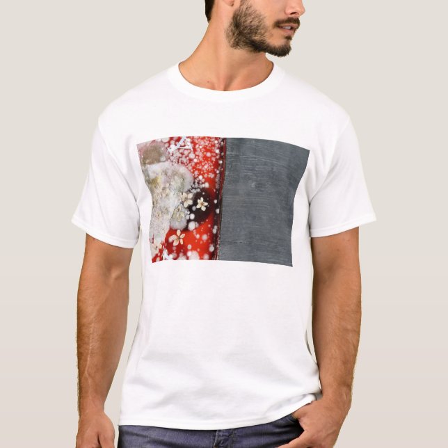 Immortality 2 tee shirt (Framsida)