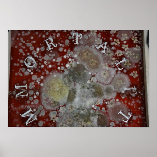 Immunitet Poster (Framsidan)