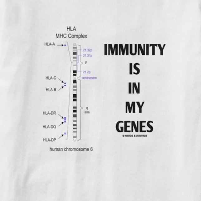 Immuniteten finns i mina gener (immunologisk kromo t shirt (Major histocompatibility genes are found on Chromosome 6 - a.k.a. Immunity Is In My Genes)
