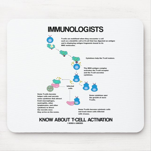 Immunologer vet om T-cellsaktivering Musmatta (Framsidan)