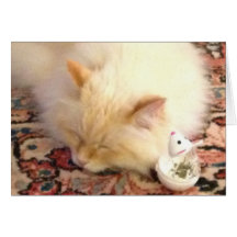 Imorgon tar vi den röda pricken