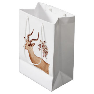 Impala Antelope Animal Wildlife Teckning Sketch