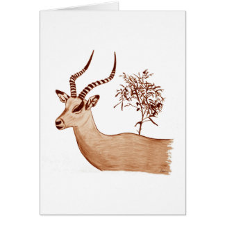 Impala Antelope Animal Wildlife Teckning Sketch Hälsningskort